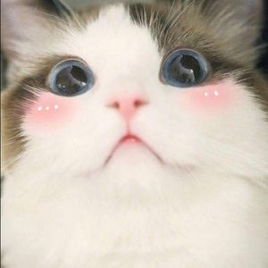 Meet your Posher, Quy